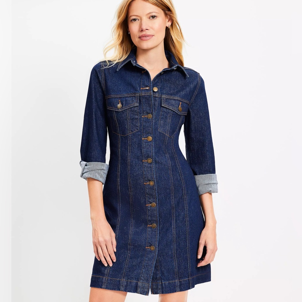 NWT LOFT Petite Mini Denim Shirt Dress